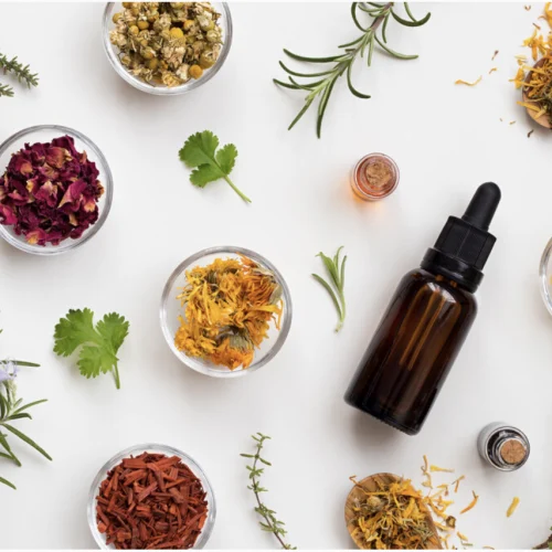 Essential oils and herbs on a white background.